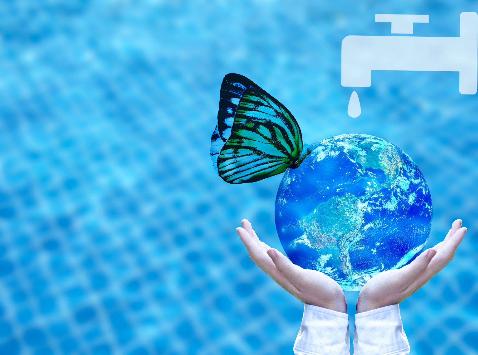 dreamstime_m_92042518 Butterfly drinking water from blue globe on hand. Saving water concept, Element of image furnished by NASA