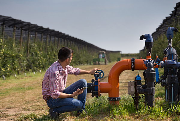 Handsome engineer with tablet squatting beside pipe system for irrigation in modern apple orchard with trees and tractor in background during harvest