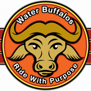 water buffalos water buffalos